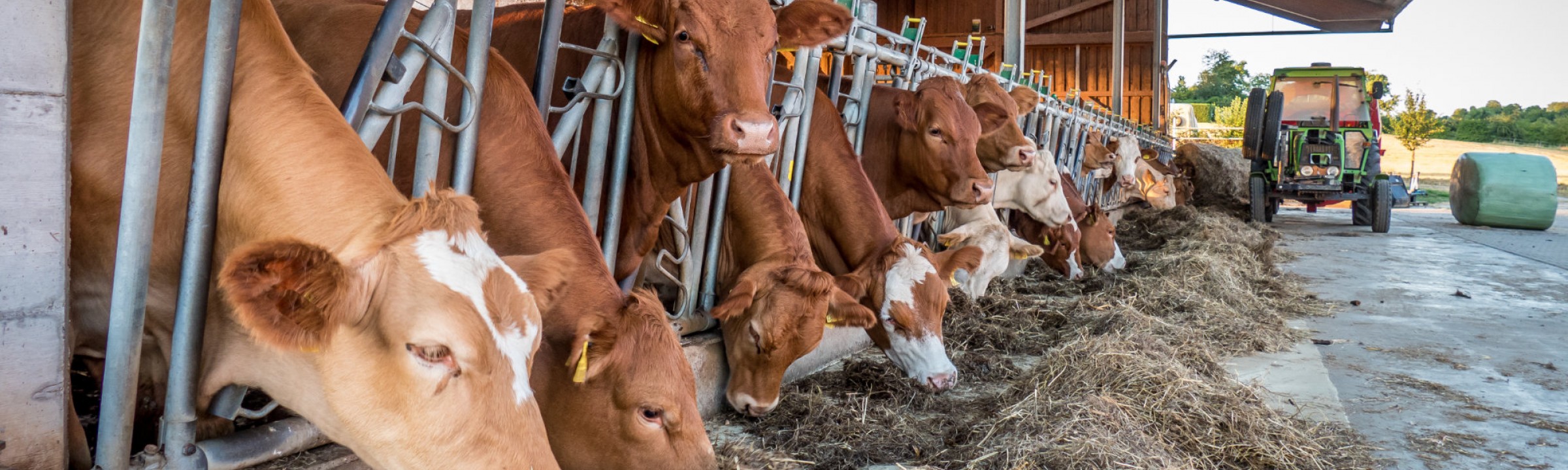 Top Span Landwirtschaft Banner Landwirtschaft